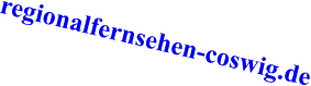 regionalfernsehen-coswig.de